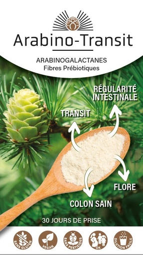 [PFI.ARA.FR] Arabino-Transit